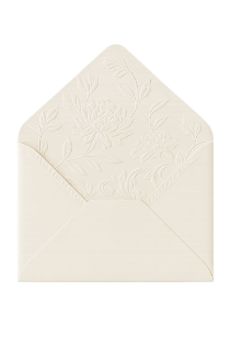 Envelope aberto